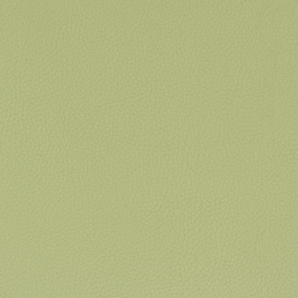 Classic 8 Pistachio by Stout Designer Fabric ALL THINGS VERSATILE 80%OTH 20%UV SOUTH KOREA FLAME RETARDANT-U.F.A.C. CLASS 1 WYZENBEEK 27 000 DOUBLE RUB WEAR TEST (HEAVY DUTY) CATB 117-2013 LIGHTFASTNESS-AATCC TM 16 (1500 HOURS) Horizontal: 0.000 and Vertical: 0.000 54 in - Swanky Fabrics -