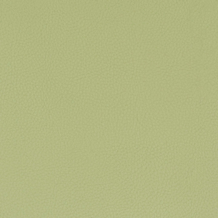 Classic 8 Pistachio by Stout Designer Fabric ALL THINGS VERSATILE 80%OTH 20%UV KOREA WYZENBEEK 100 000 DOUBLE RUB WEAR TEST (HEAVY DUTY) PERFORMANCE RATED FABRIC FLAME RETARDANT-U.F.A.C. CLASS 1 CATB 117-2013 Horizontal: 0 and Vertical: 0 54 in - Swanky Fabrics -