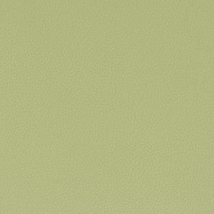 Classic 8 Pistachio by Stout Designer Fabric