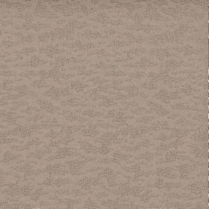 Cleo Sand by Norbar Designer Fabric SHEER TRENDS 100% POLYESTER TURKEY 118" - Swanky Fabrics -