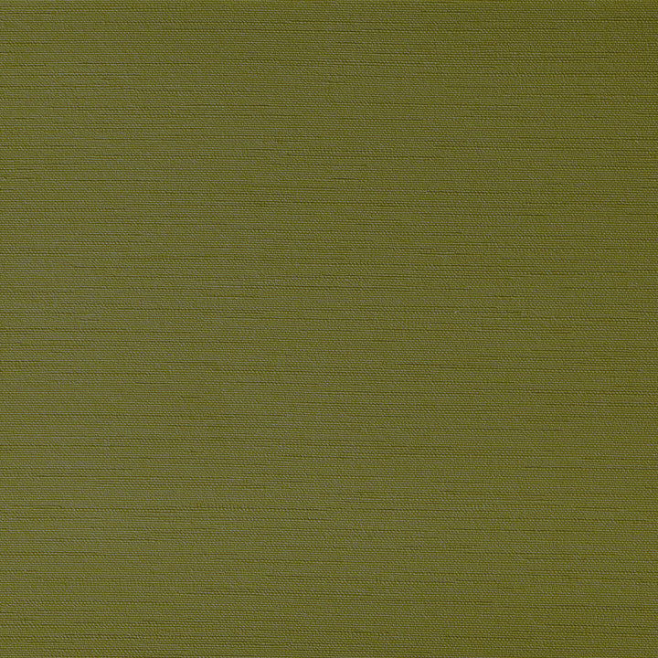 Clutch Grasshoper by Kravet Contract Designer Fabric FOUNDATIONS / VALUE POLY VINYL CHLORIDE - 100% China HEAVY Horizontal: 0 and Vertical: 0 54 - Swanky Fabrics -