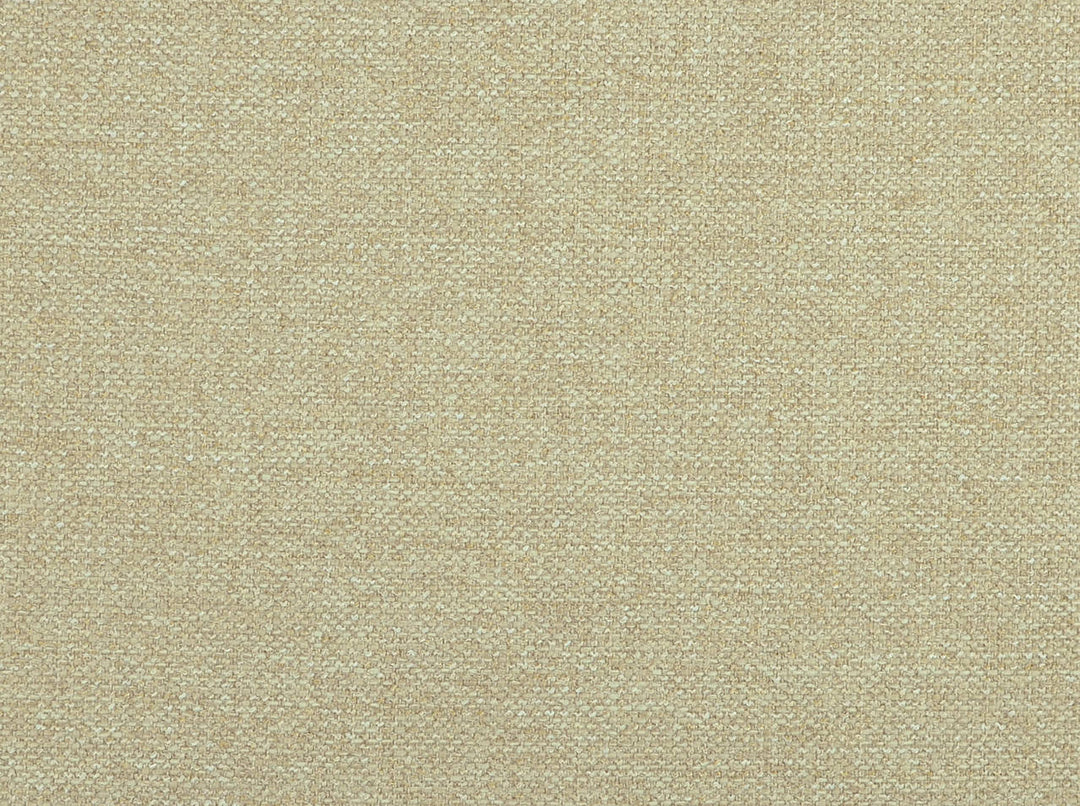 Cole 145 Travertine by Covington Designer Fabric