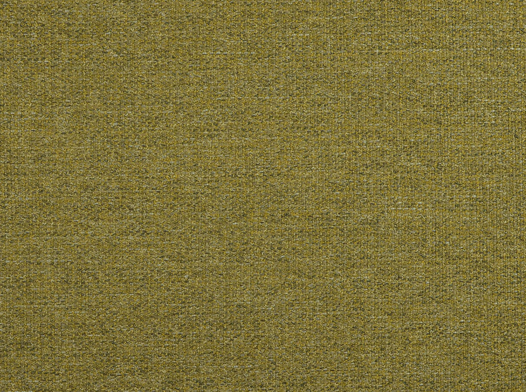 Cole 244 Acid Green by Covington Designer Fabric