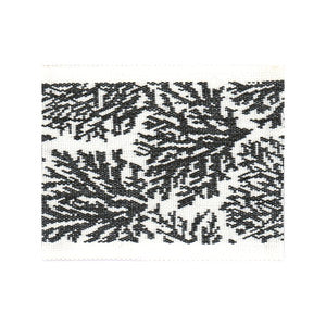 Columbia Tape 1 Domino by Stout Designer Trim