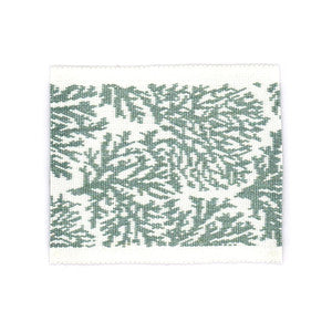 Columbia Tape 3 Lagoon by Stout Designer Trim