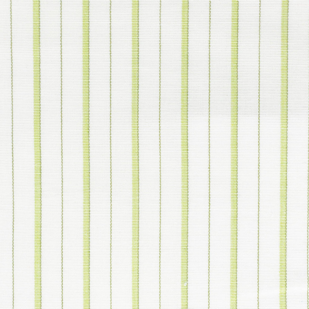 Comanche 1 Clover by Stout Designer Fabric RAINBOW LIBRARY PEAR/JUNGLE 100%COT INDIA Horizontal: 1.125 and Vertical: 0.000 54 in - Swanky Fabrics -