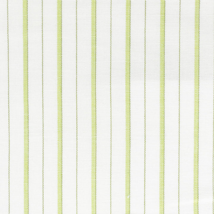 Comanche 1 Clover by Stout Designer Fabric RAINBOW LIBRARY PEAR/JUNGLE 100%COT INDIA Horizontal: 1.125 and Vertical: 0.000 54 in - Swanky Fabrics -
