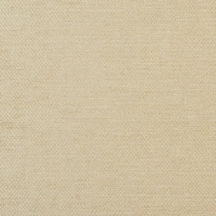 Combat 33J7081 by JF Designer Fabric Winning Weaves V Book 100% Polyester India 120000 Horizontal: and Vertical: 55 - Swanky Fabrics -