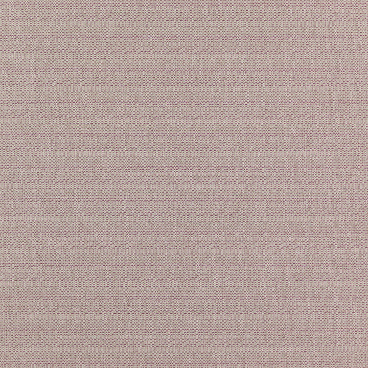 COMMANDER 43J7351 by JF Designer Fabric Winning Weaves VI - Woven Book 100% Polyester India  Horizontal:  and Vertical:  57  - Swanky Fabrics -