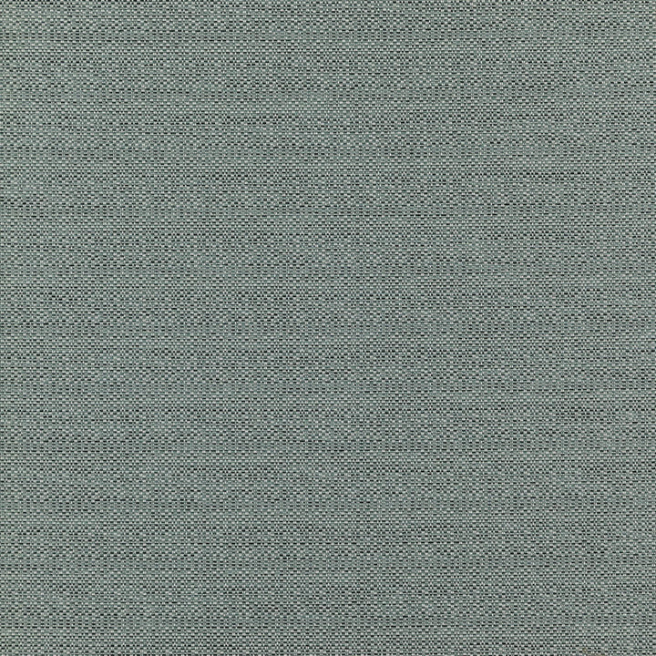 COMMANDER 63J7351 by JF Designer Fabric Winning Weaves VI - Woven Book 100% Polyester India  Horizontal:  and Vertical:  57  - Swanky Fabrics -