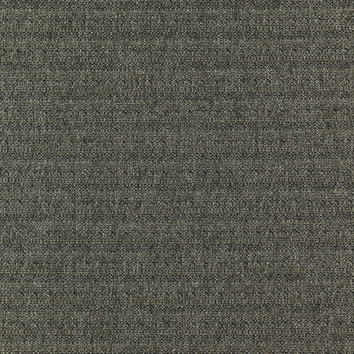 Commander 97J7351 by JF Designer Fabric Winning Weaves VI - Woven Book 100% Polyester India 40000 Horizontal: and Vertical: 57 - Swanky Fabrics -