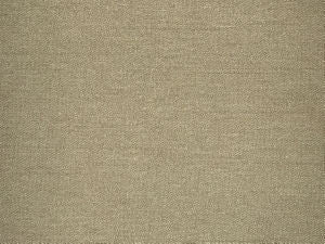 Condor Earth by Norbar Designer Fabric