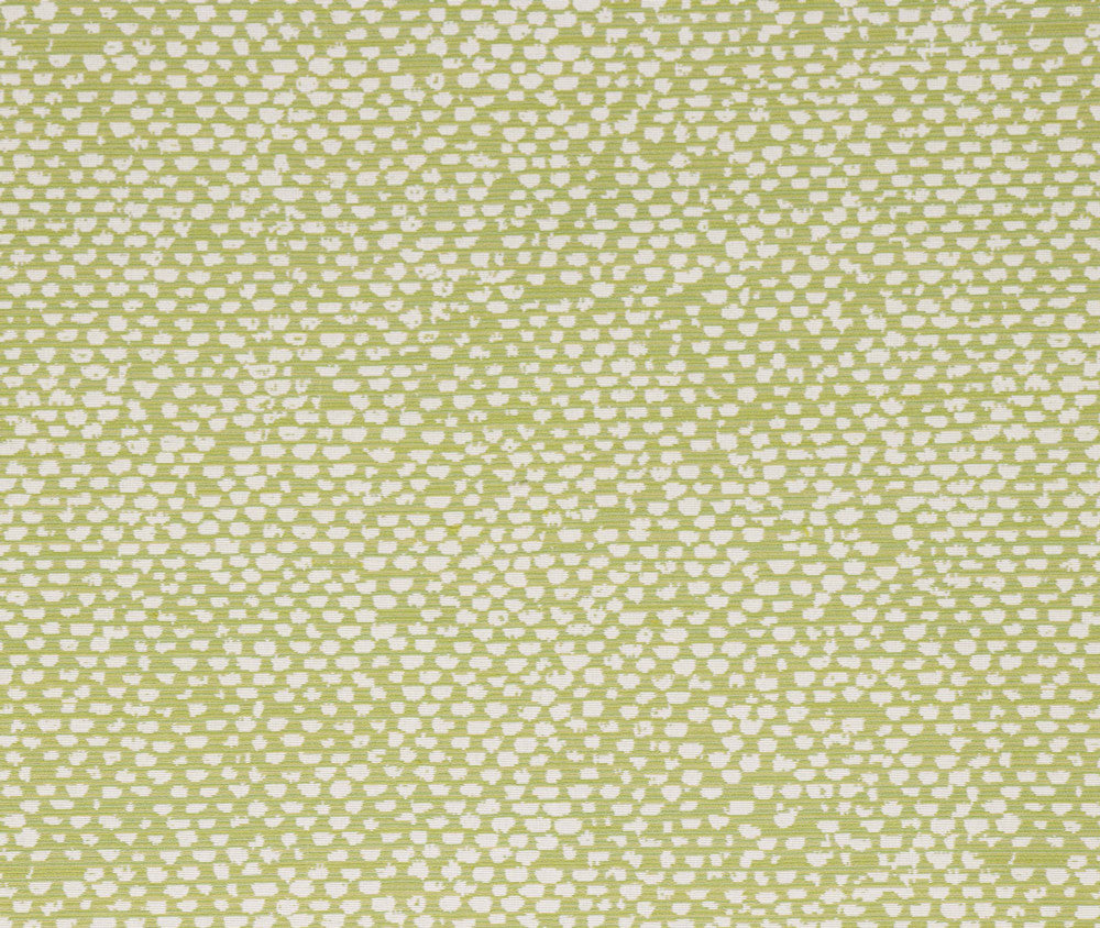 Conga Lime by Bella-Dura Designer Fabric  100% BELLA DURA POLYOLEFIN USA 70000 H: 13.875'' V: 12'' 55.5''  - Swanky Fabrics -