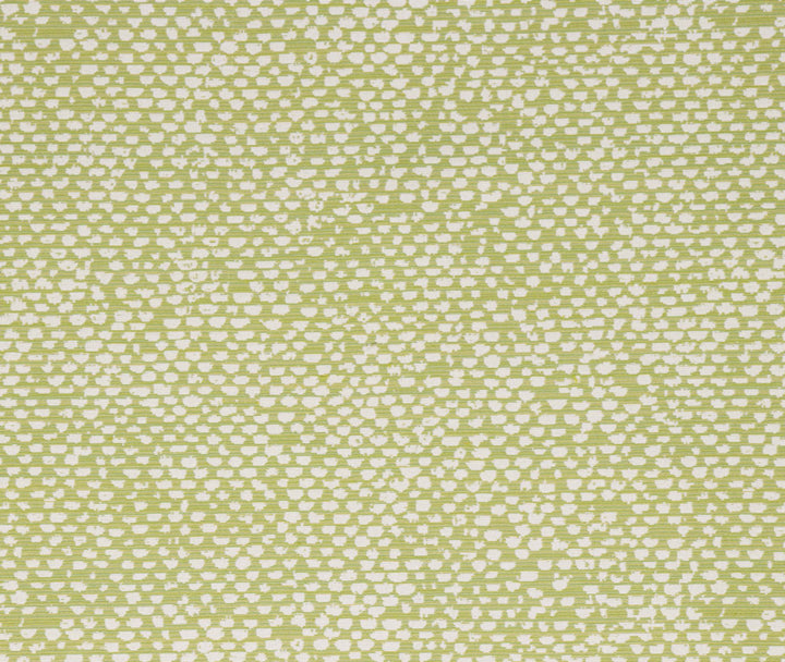Conga Lime by Bella-Dura Designer Fabric  100% BELLA DURA POLYOLEFIN USA 70000 H: 13.875'' V: 12'' 55.5''  - Swanky Fabrics -