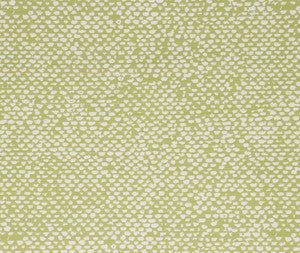 Conga Lime by Bella-Dura Designer Fabric