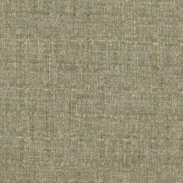 Conlin 2 Aloe by Stout Designer Fabric THE ART OF COLOR WELL KEPT SECRET 55%POL 45%COT INDIA WYZENBEEK 60 000 DOUBLE RUB WEAR TEST (HEAVY DUTY) Horizontal: 0.000 and Vertical: 0.000 54 in - Swanky Fabrics -