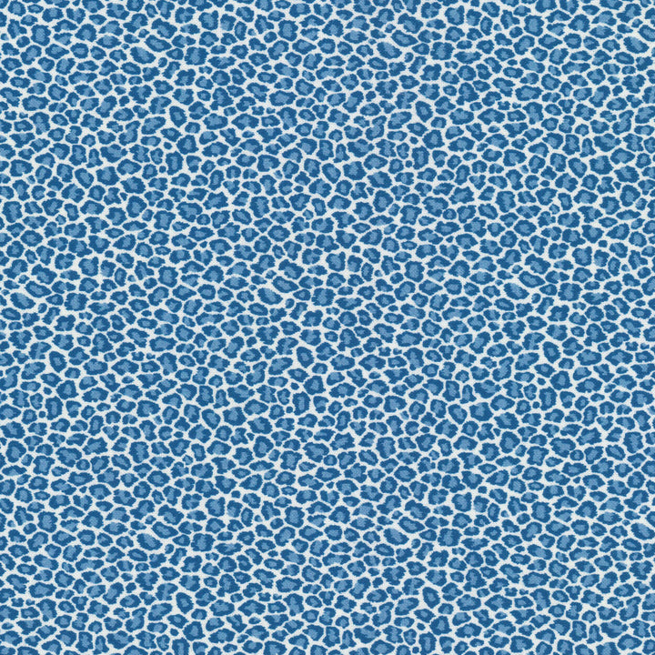 Copycat 1 Bluebird by Stout Designer Fabric RAINBOW LIBRARY HAZE/SKY 100%COT SPAIN PERFORMANCE RATED FABRIC FLAME RETARDANT-N.F.P.A. 260A CLASS 1 CATB 117-2013 WYZENBEEK 500 000 DOUBLE RUB WEAR TEST(EXTREMELY HEAVY DUTY) Horizontal: 4.500 and Vertical: 4.500 54 in - Swanky Fabrics -