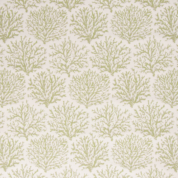 Coraline Meadow by Bella-Dura Designer Fabric  100% BELLA DURA POLYOLEFIN USA 70000 H: 13.5''' V: 20'' 54.25''  - Swanky Fabrics -