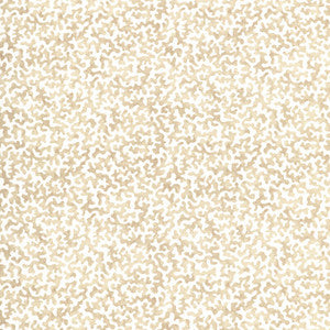 Coralcoast Sand CORALCOAST.161.0 By Kravet Basics Designer Fabric
