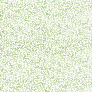 Coralcoast Sage CORALCOAST.30.0 By Kravet Basics Designer Fabric
