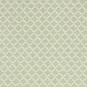 Corey 5 Aloe by Crypton Designer Fabric