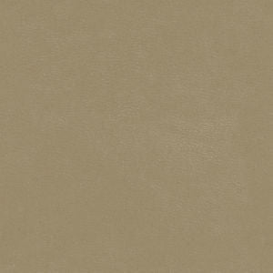 Corsica Fossil by Norbar Designer Fabric EUREKA 100% CPU-CLEAN PERFORMANCE 54 - Swanky Fabrics -