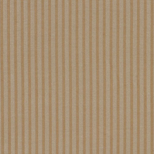 COSTA 11J3754 by JF Designer Fabric Elegant Attire (Black) 59% Rayon, 41% Polyester United States  Horizontal: 0.313 and Vertical:  54  - Swanky Fabrics -