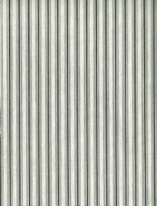Cove Onyx by Norbar Designer Fabric ARCADE 100% COTTON 1/2"H 55 - Swanky Fabrics -