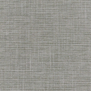 Crater 5 Flint by Stout Designer Fabric
