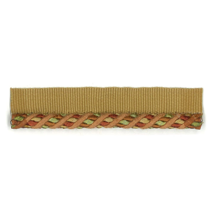 Cristabel 12 Tangerine by Stout Designer Trim ART OF DESIGN TRIM-2 CORDS 53%COT 47%SVI CHINA </p><p>Repeat: 0 0.25 in - Swanky Fabrics -
