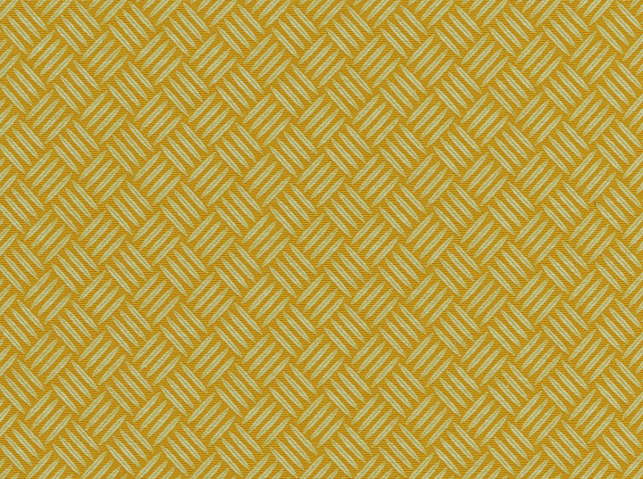 Criss Cross Citrine 831 by Covington Designer Fabric 55% COTTON/45% POLYESTER TAI 50000 Horizontal: 1.25 and Vertical: 1.25 54 - Swanky Fabrics -