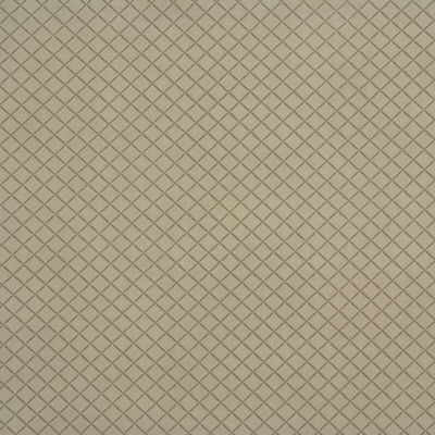Crosscut Sandstone by Kravet Couture Designer Fabric - NYLON - 100% Japan HEAVY Horizontal: 0 and Vertical: 0 54 - Swanky Fabrics -