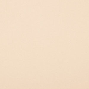 Crypton Home Burkes Eggshell by Magnolia Designer Fabric