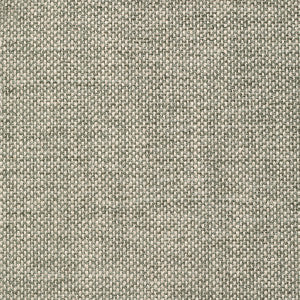 Crypton Home Wiley Eucalyptus by Magnolia Designer Fabric