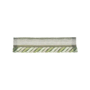 Curtis Lipcord 6 Spring by Stout Designer Trim