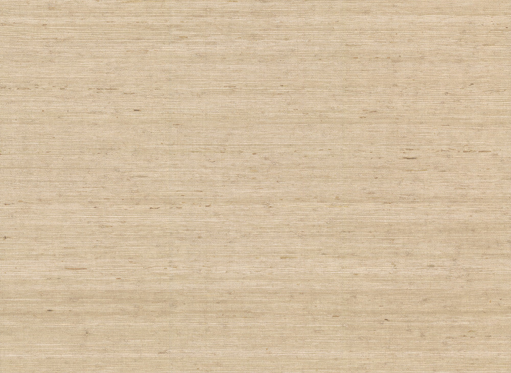Arrowroot Cream Wallpaper by York Wallcoverings Designer Grasscloth II Covers about 72 square feet 36-in by 24-ft long roll Unpasted 0 - Swanky Fabrics -