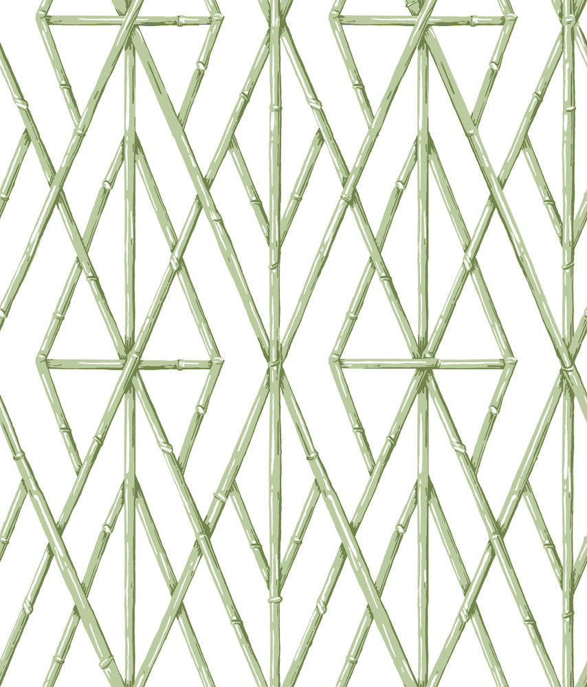 Riviera Bamboo Trellis Green Wallpaper by York Wallcoverings Designer Water's Edge Resource Library Covers about 56.4 square feet 20.5-in by 33-ft long roll Prepasted 24 - Swanky Fabrics -