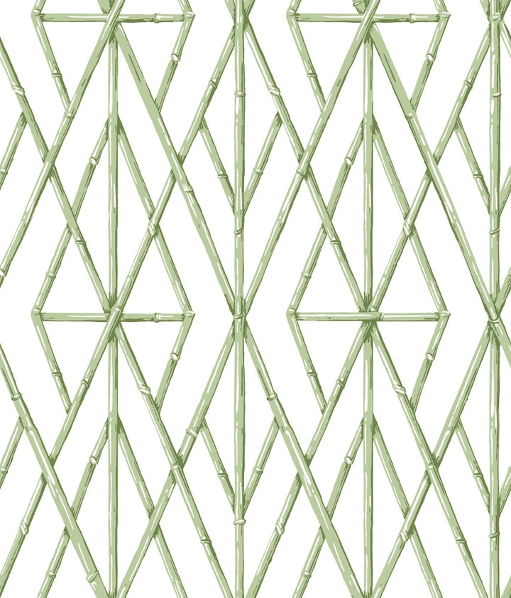 Riviera Bamboo Trellis Green Wallpaper by York Wallcoverings Designer Water's Edge Resource Library Covers about 56.4 square feet 20.5-in by 33-ft long roll Prepasted 24 - Swanky Fabrics -