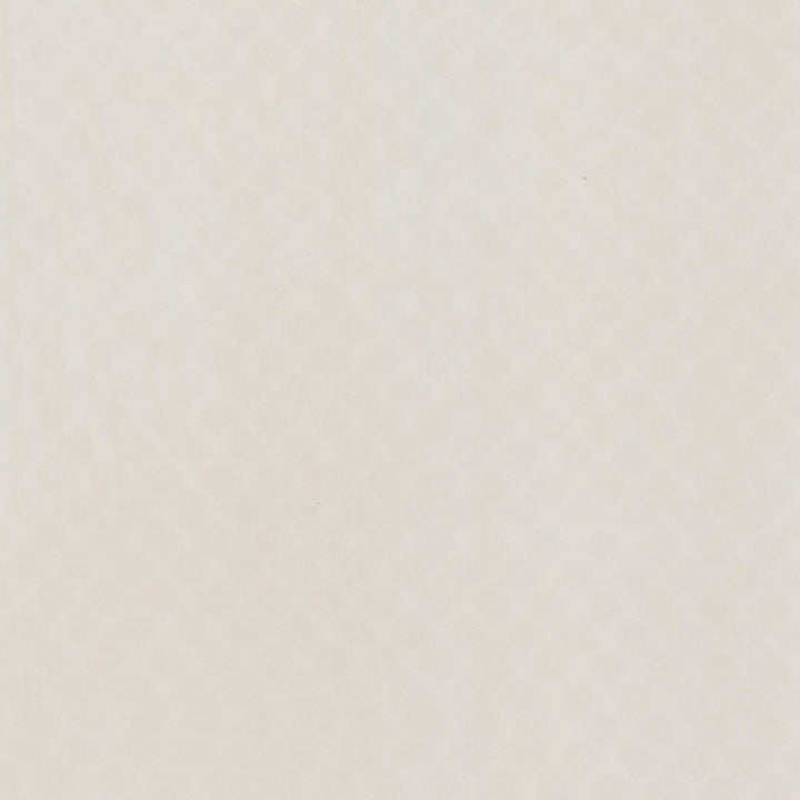 Cylinder 1 Pumice by Stout Fabric Stout Fabric Cylinder 1 PumiceFabric DAYDREAMS 100%POL TURKEY </p><p>Repeat: H: 0.000, V: 0.000 118 in - Fabric Carolina -