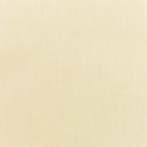 5498 Canvas Vellum by Sunbrella Designer Fabric