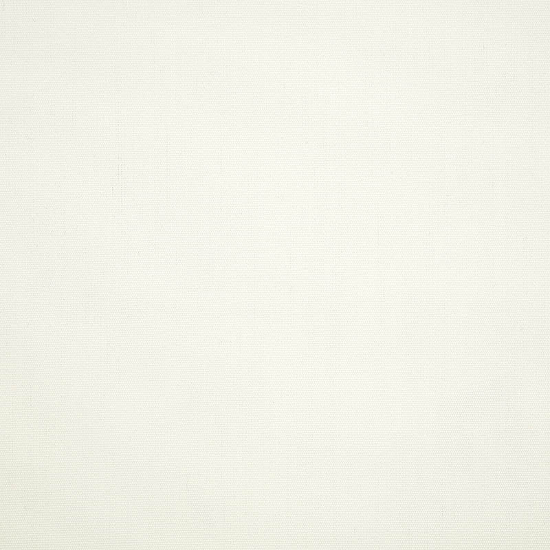 Sunbrella Fabric 57003 Canvas White 1 7/8 Yards
