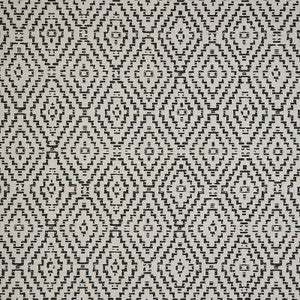 145601-0001 Capra II Shadow by Sunbrella Designer Fabric