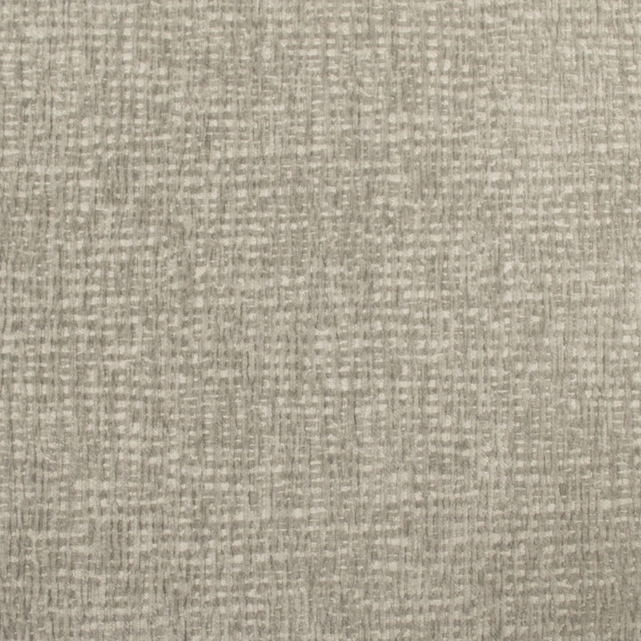Carolina Dove by Europatex Designer Fabric Carolina 100% Polyester China 40,000 Double Rubs Horizontal: N/A and Vertical: N/A 55" - Swanky Fabrics -