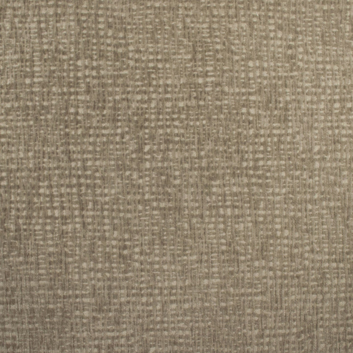 Carolina Mushroom by Europatex Designer Fabric Carolina 100% Polyester 0.00" 55.00 inches - Swanky Fabrics -
