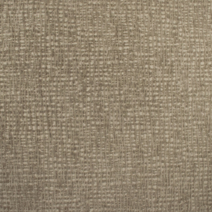 Carolina Mushroom by Europatex Designer Fabric Carolina 100% Polyester China 40,000 Double Rubs Horizontal: N/A and Vertical: N/A 55" - Swanky Fabrics -