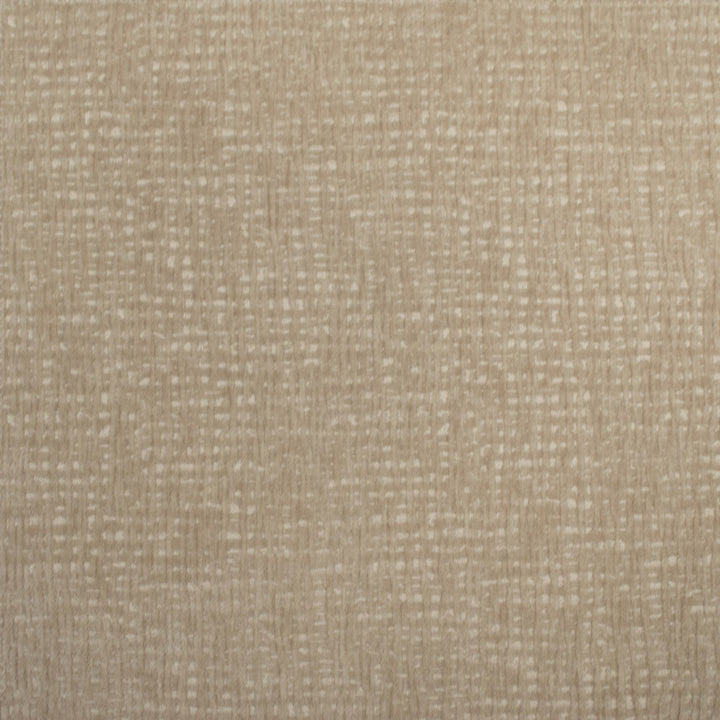 Carolina Porridge by Europatex Designer Fabric Carolina 100% Polyester China 40,000 Double Rubs Horizontal: N/A and Vertical: N/A 55" - Swanky Fabrics -