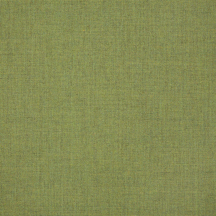 48109 Cast Moss by Sunbrella Designer Fabric Cushion Furniture Drapery Fabrics > Sunbrella Solids 100% Acrylic USA or Imported n/a 54" - Swanky Fabrics -