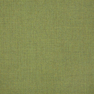 48109 Cast Moss by Sunbrella Designer Fabric