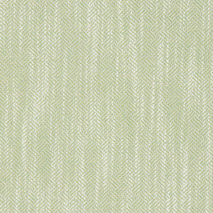 Catskill Celery by Bella-Dura Designer Fabric