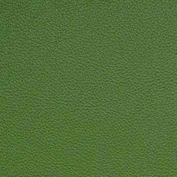 Classic Fern by Nassimi Designer Fabric See sample 100% Vinyl  500000 Horizontal: Not Applicable and Vertical: Not Applicable 54"  - Swanky Fabrics -